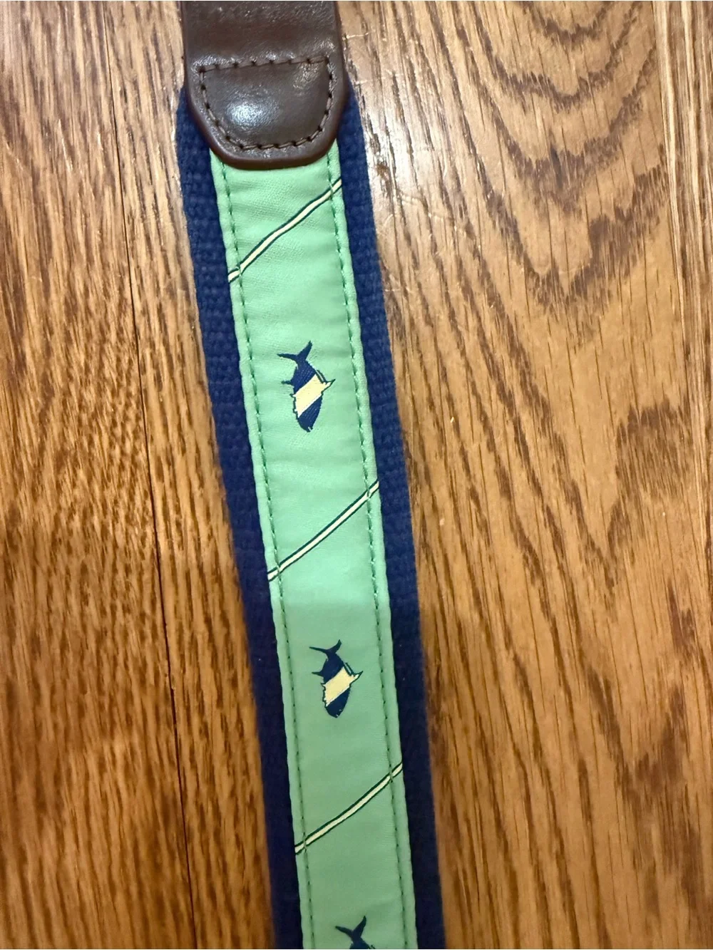 Mint Green Embroidered Leather Belt with Dark Trim